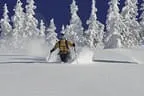 Winter18